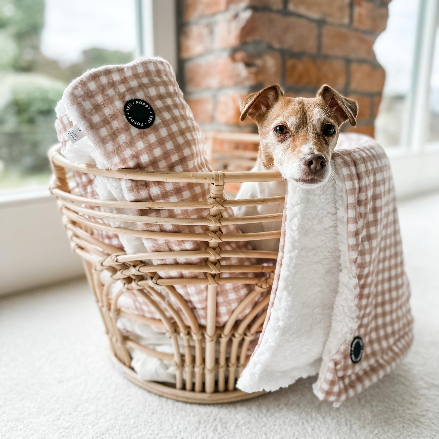 Home Collection | Dog Blanket | Luxe Tan Plaid