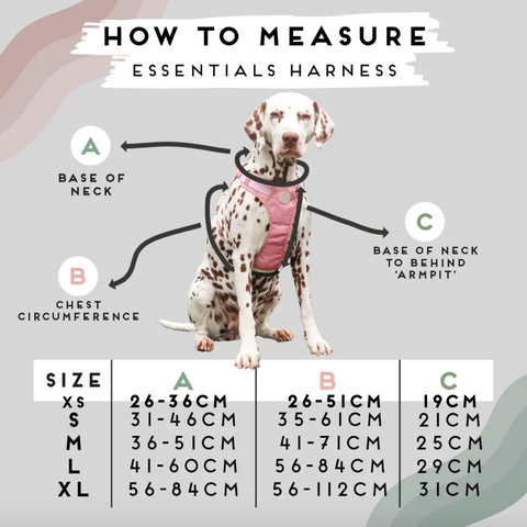 3-Click Tough Harness | No Rain, No Flowers