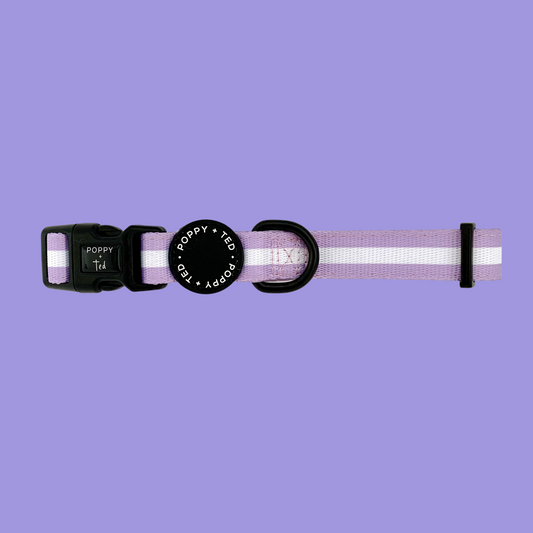 Essentials Collection | Dog Collar | Pastel Lilac