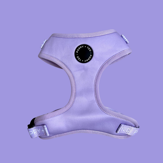 Essentials Collection | Adjustable Dog Harness | Pastel Lilac