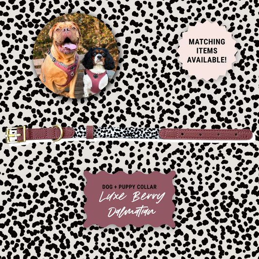 Luxe Collection | Dog Collar | Berry Dalmatian