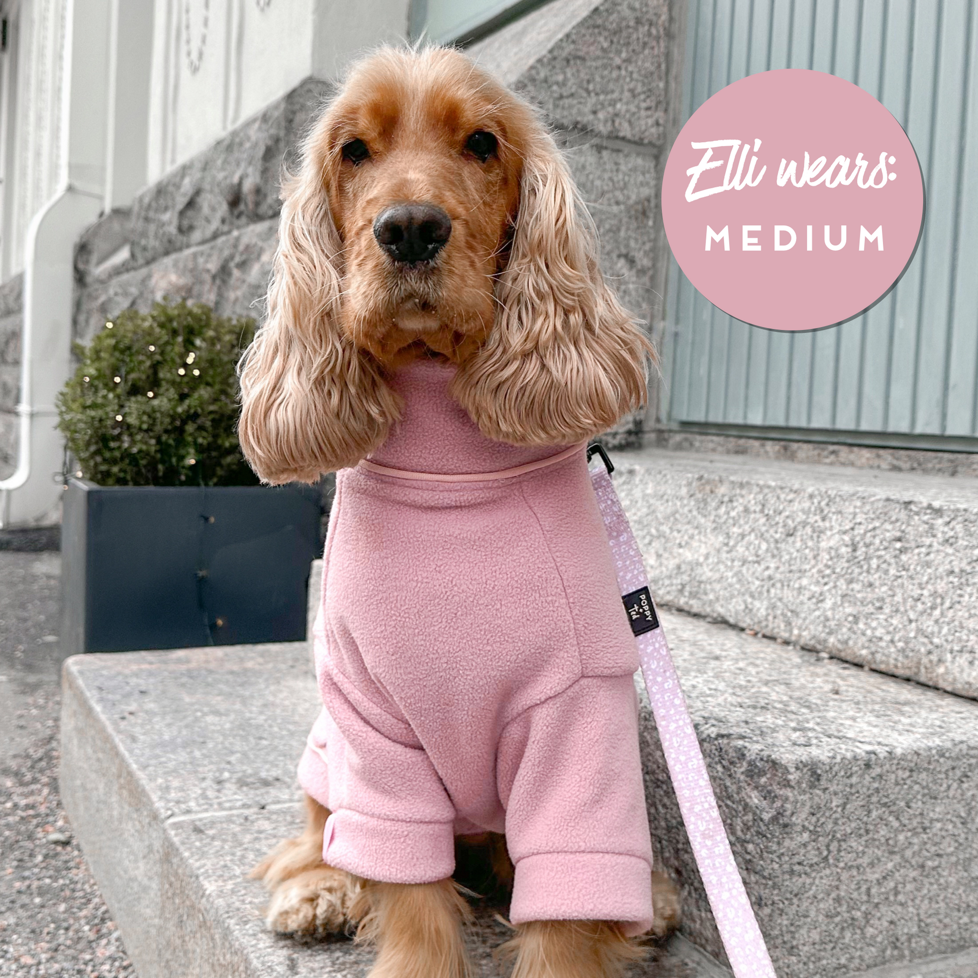 Dog clearance fleece jumper