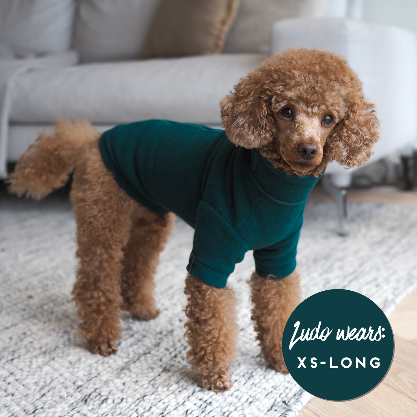 Cosy Dog Fleece Jumper - Zip Up / Step in Style | Grey