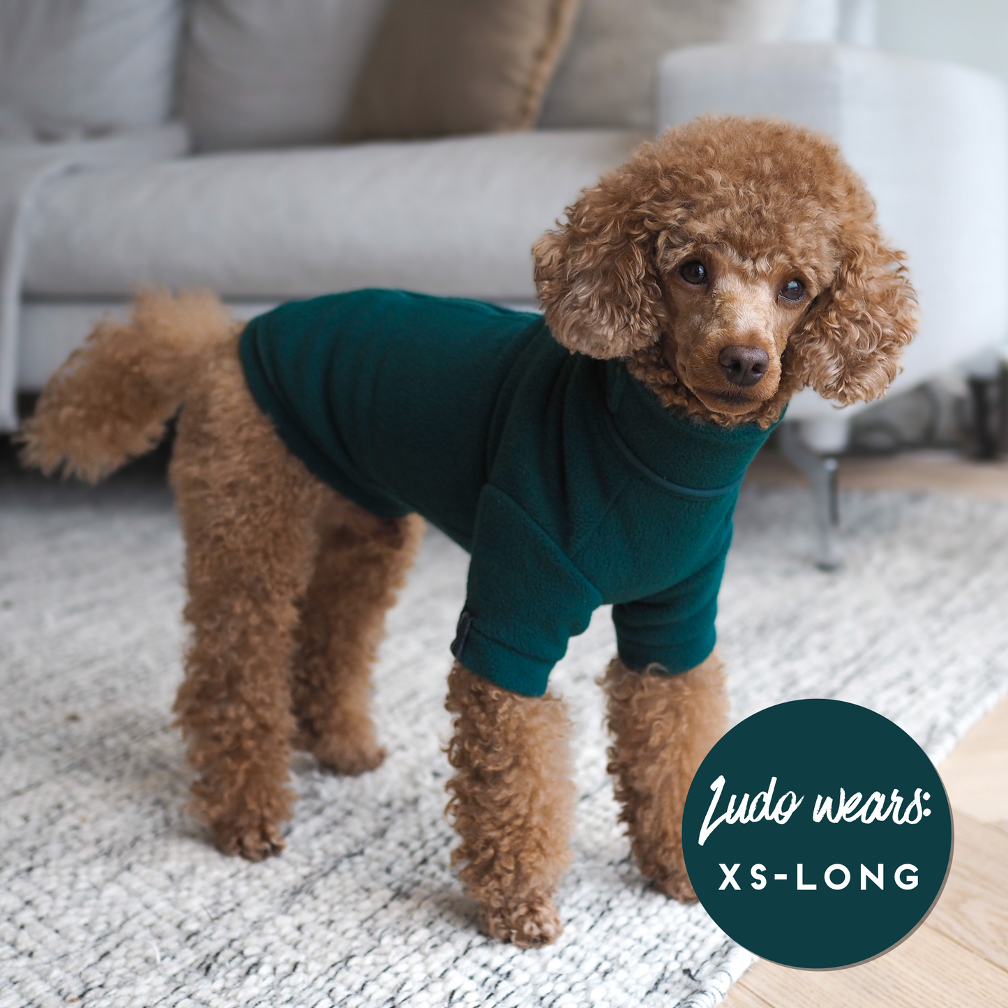 Cosy Dog Fleece Jumper - Zip Up / Step in Style | Teal