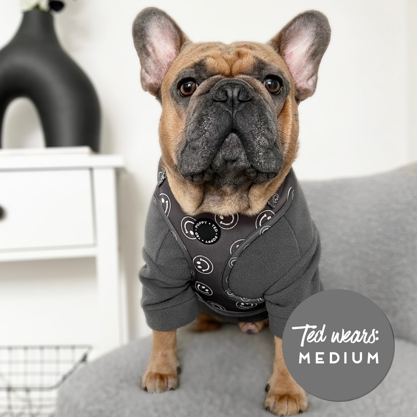 Cosy Dog Fleece Jumper - Zip Up / Step in Style | Teal