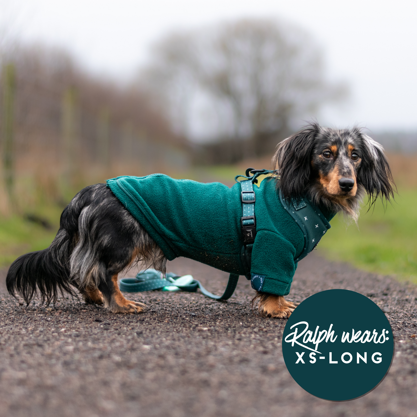 Cosy Dog Fleece Jumper - Zip Up / Step in Style | Grey