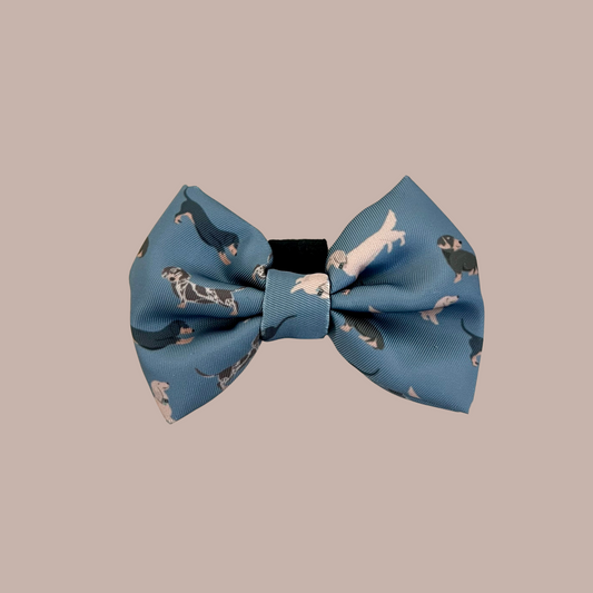 Dachshund Bow Tie: Breed Collection