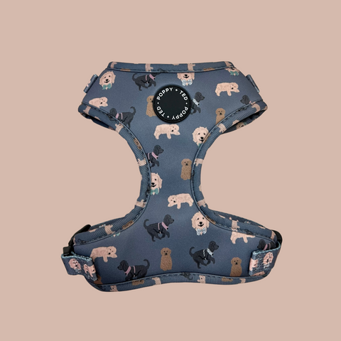 Cockapoo/Cavapoo/Doodle Harness: Breed Collection