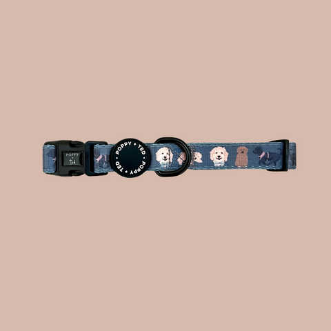 Cockapoo/Cavapoo/Doodle Collar: Breed Collection