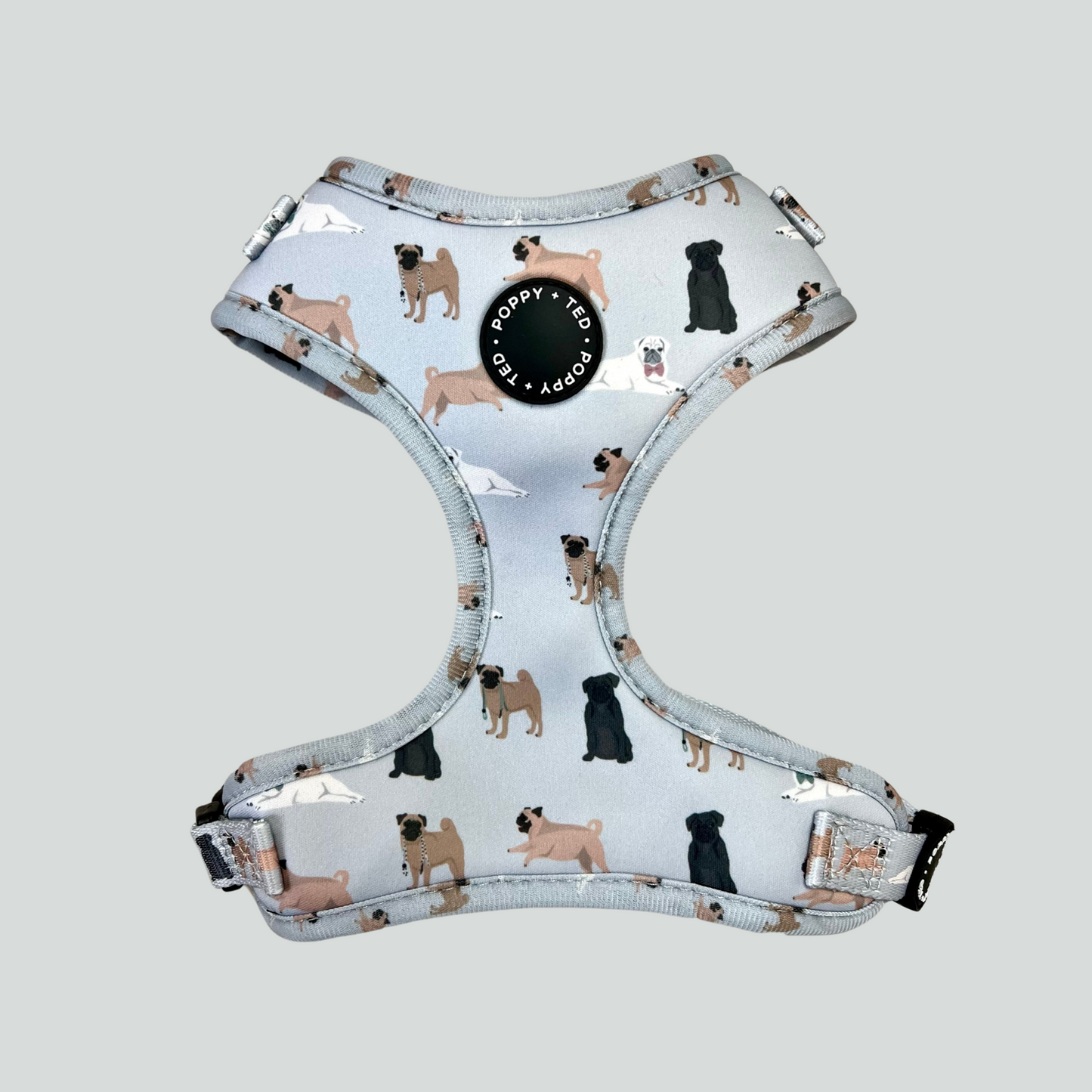 Pug Harness: Breed Collection