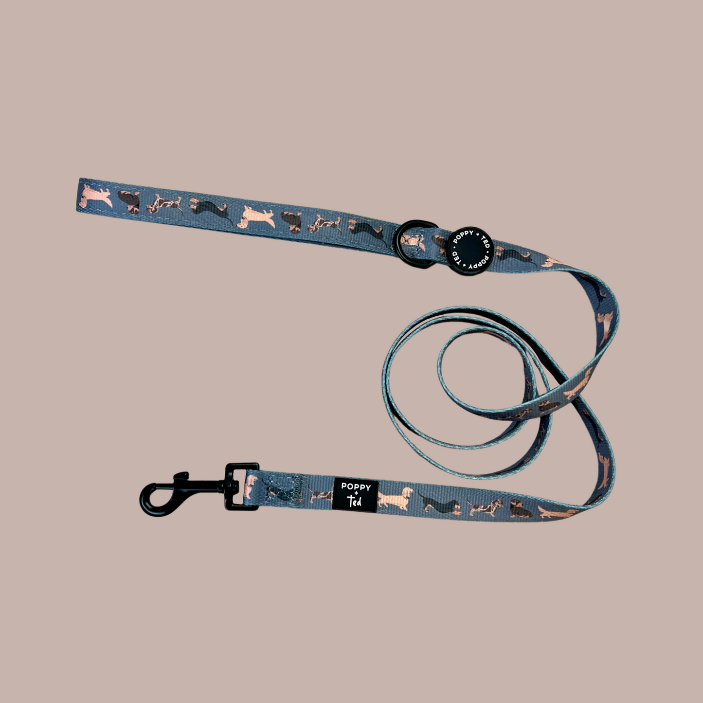 Dachshund Lead: Breed Collection