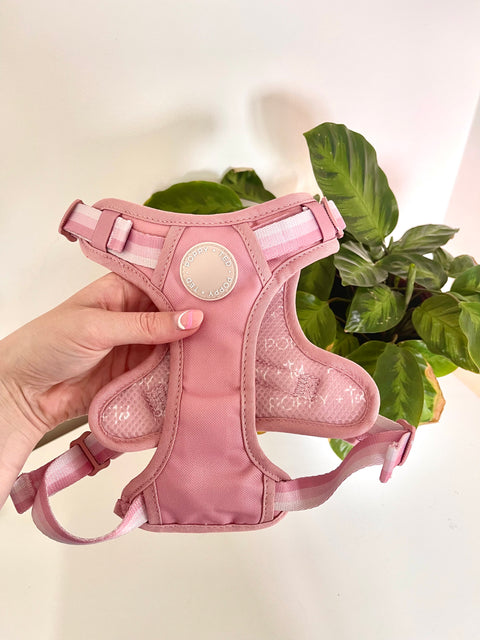 Ombré Essentials | 3-Click Tough Harness | Rose Pink