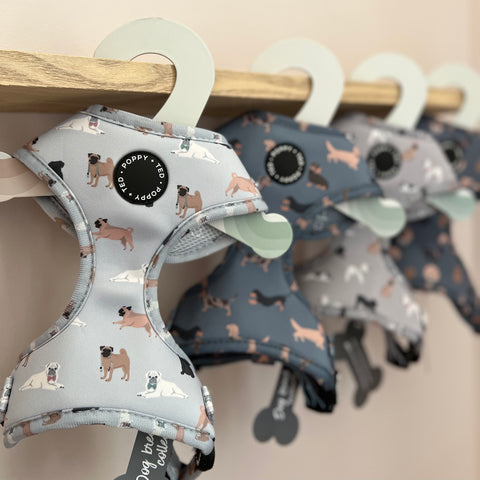 Pug Harness: Breed Collection