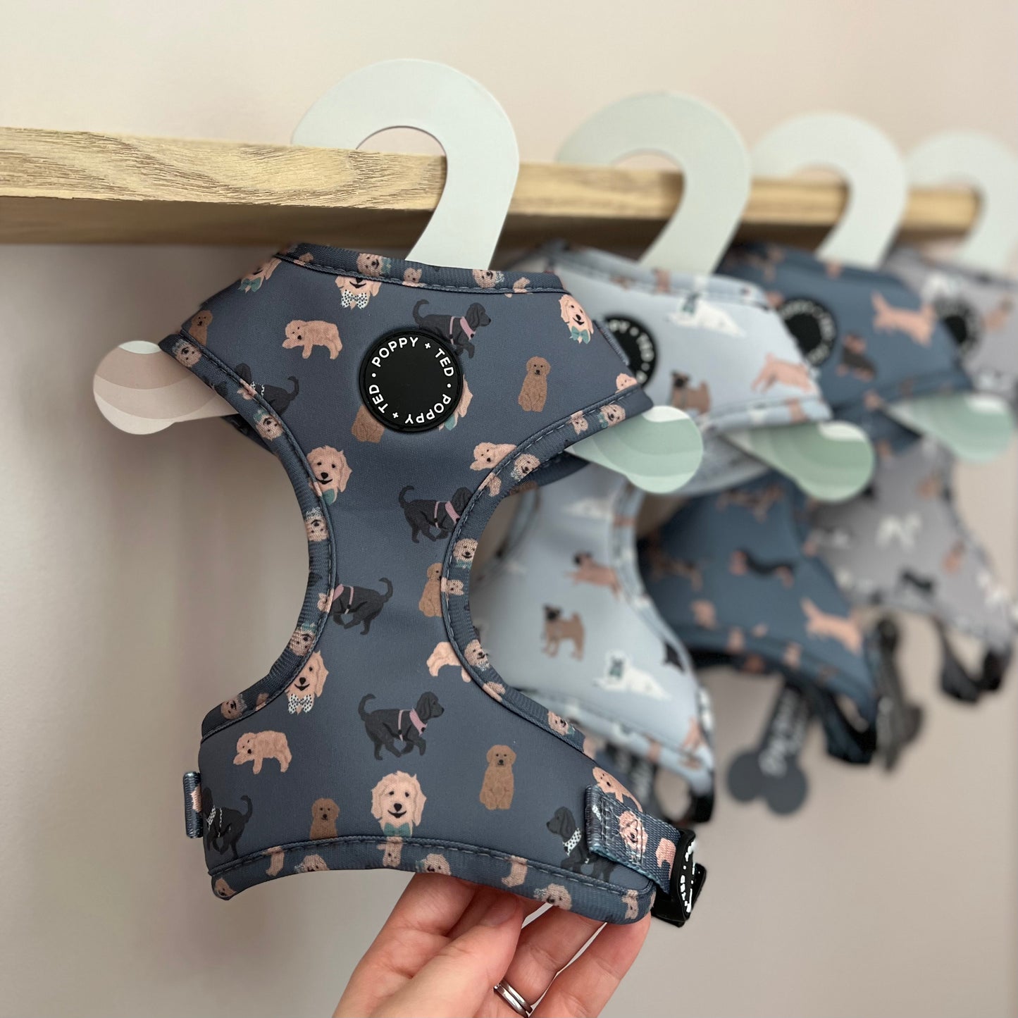 Cockapoo/Cavapoo/Doodle Harness: Breed Collection