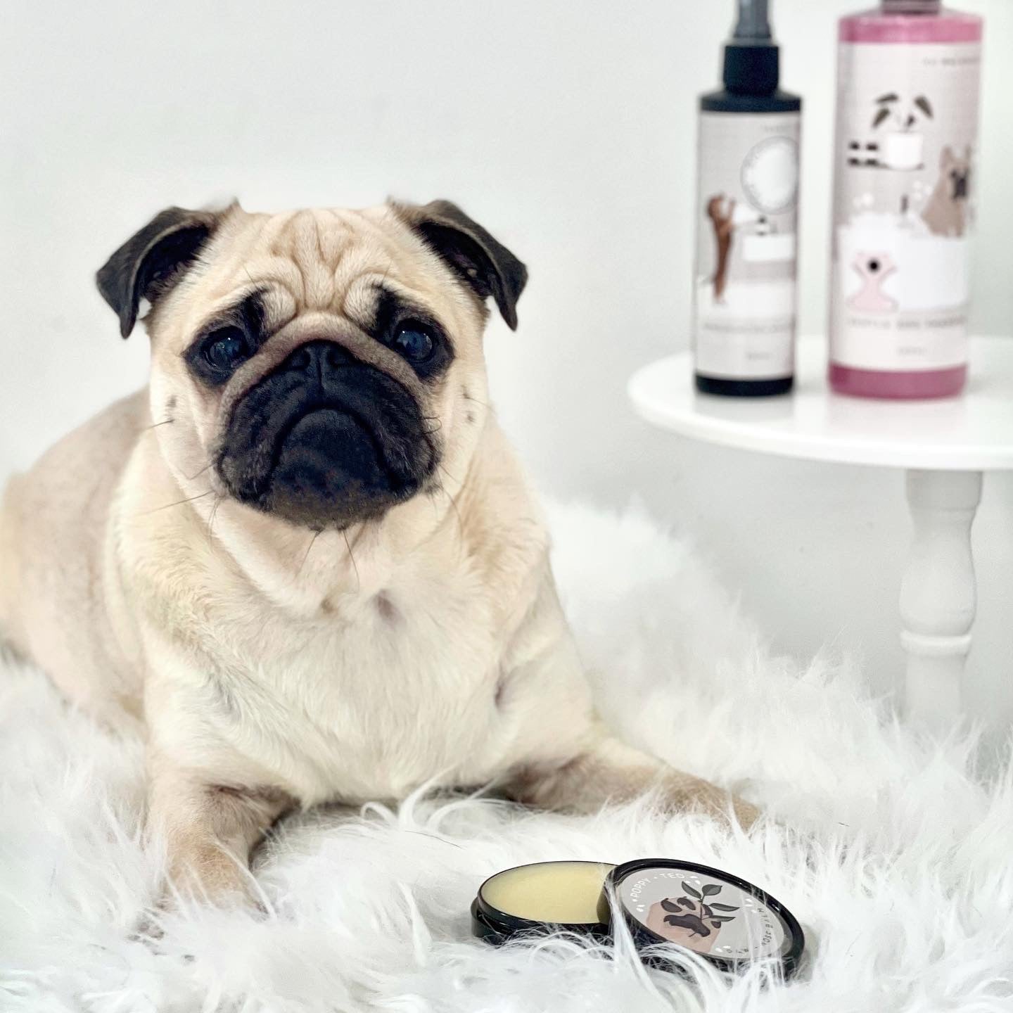 Dog Shampoo | Baby Powder Scent | Grooming Collection - SOLD OUT