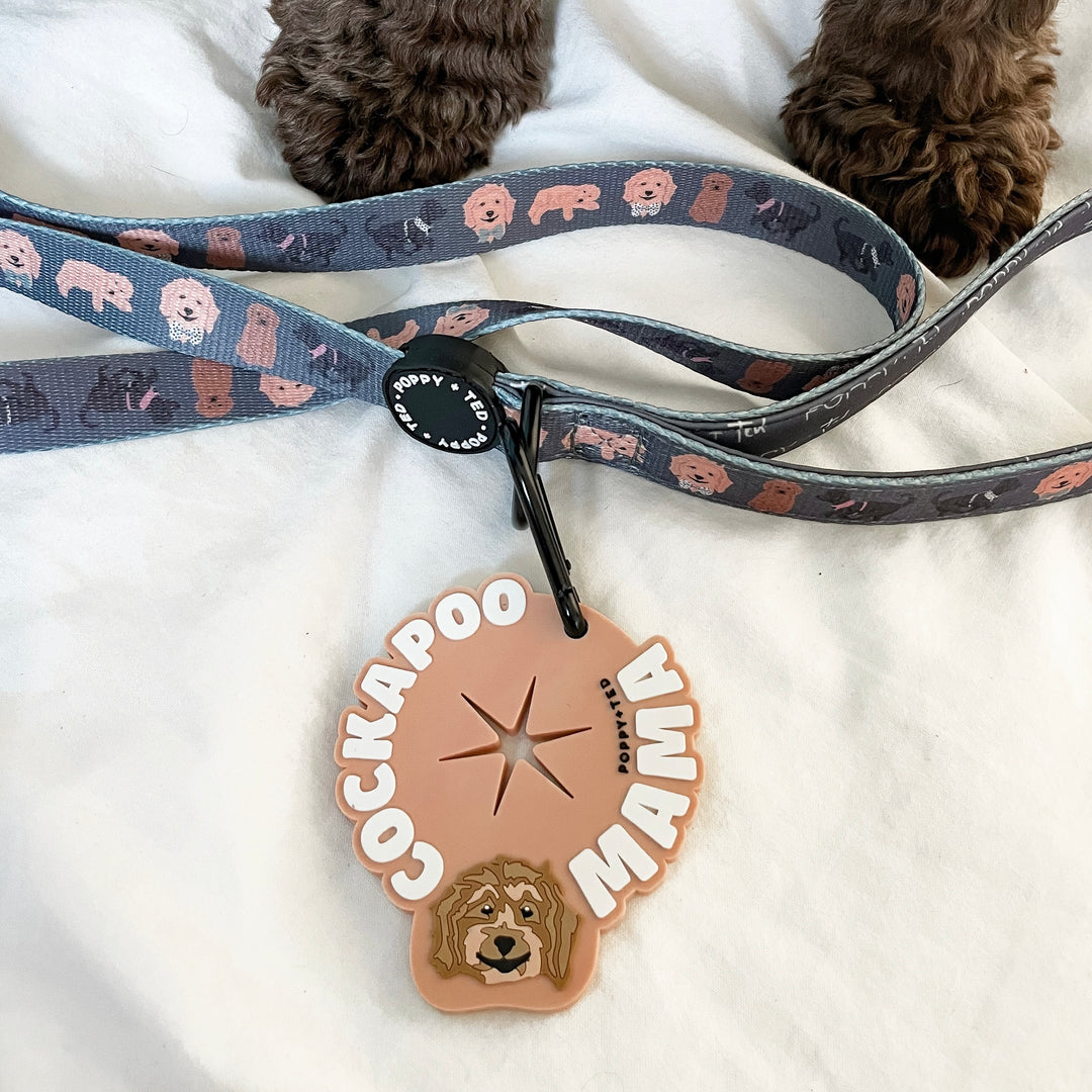 Cockapoo/Cavapoo/Doodle Lead: Breed Collection - Poppy + Ted
