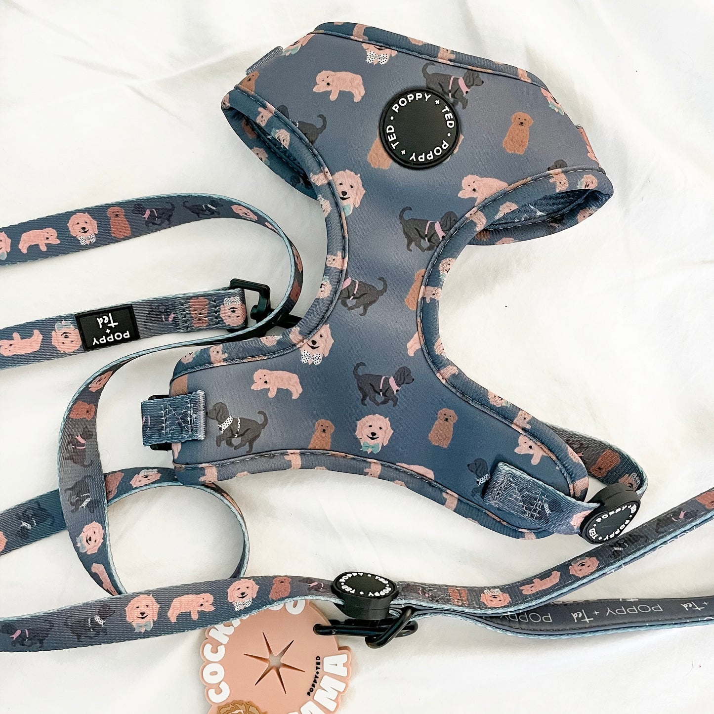 Cockapoo/Cavapoo/Doodle Harness: Breed Collection