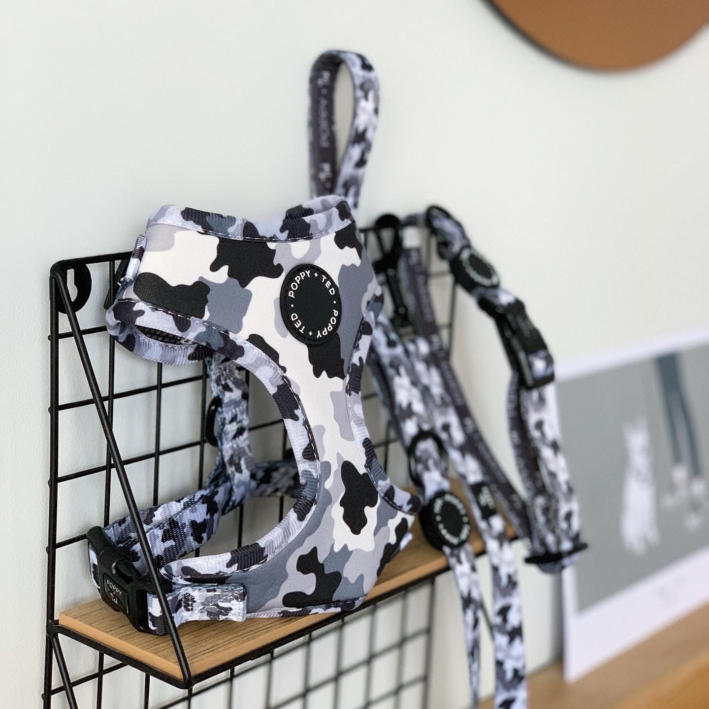 Walk + Wear | Adjustable Dog Harness | The Camo