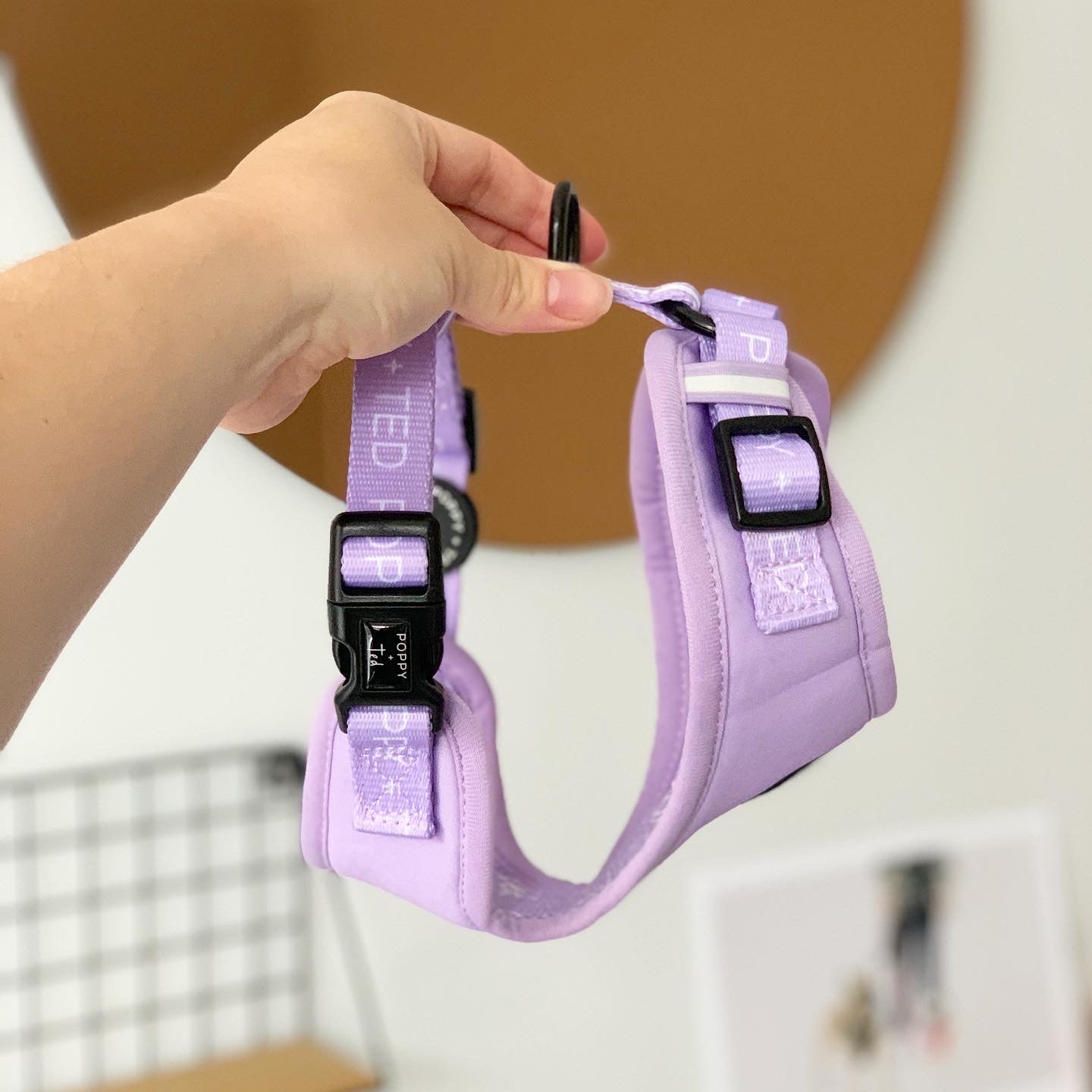 Light purple 2025 dog harness