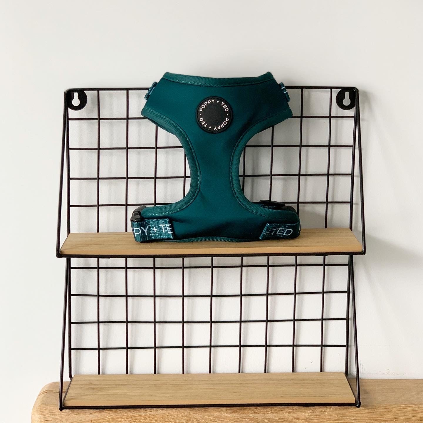 Essentials Collection | Adjustable Dog Harness | Teal