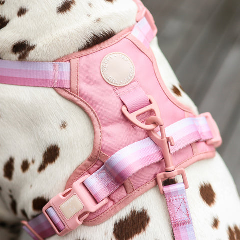 Ombré Essentials | 3-Click Tough Harness | Rose Pink