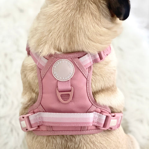 Ombré Essentials | 3-Click Tough Harness | Rose Pink