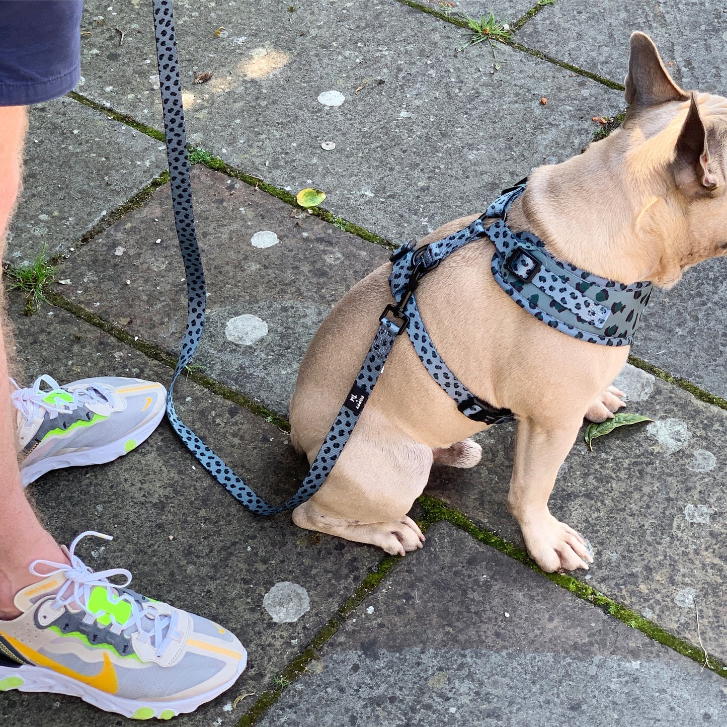 Walk + Wear | Adjustable Dog Harness | Wild Leopard - Khaki