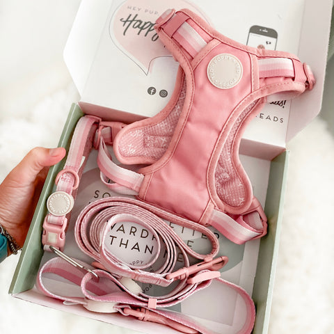 Ombré Essentials | 3-Click Tough Harness | Rose Pink