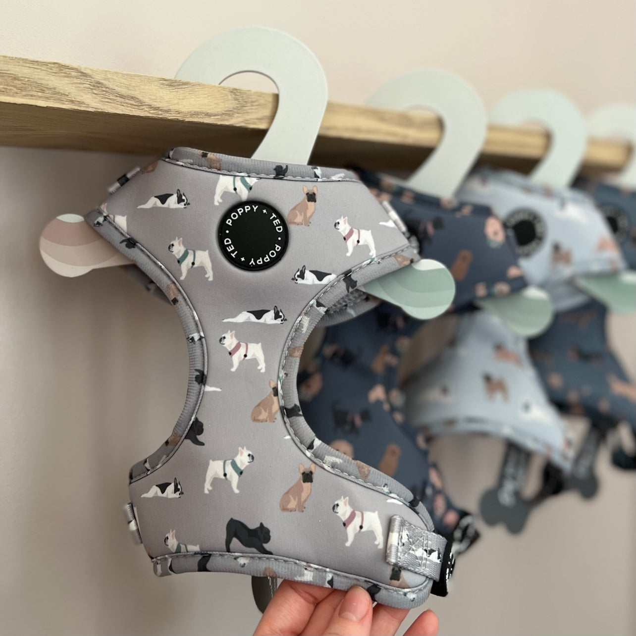 French Bulldog Harness: Breed Collection