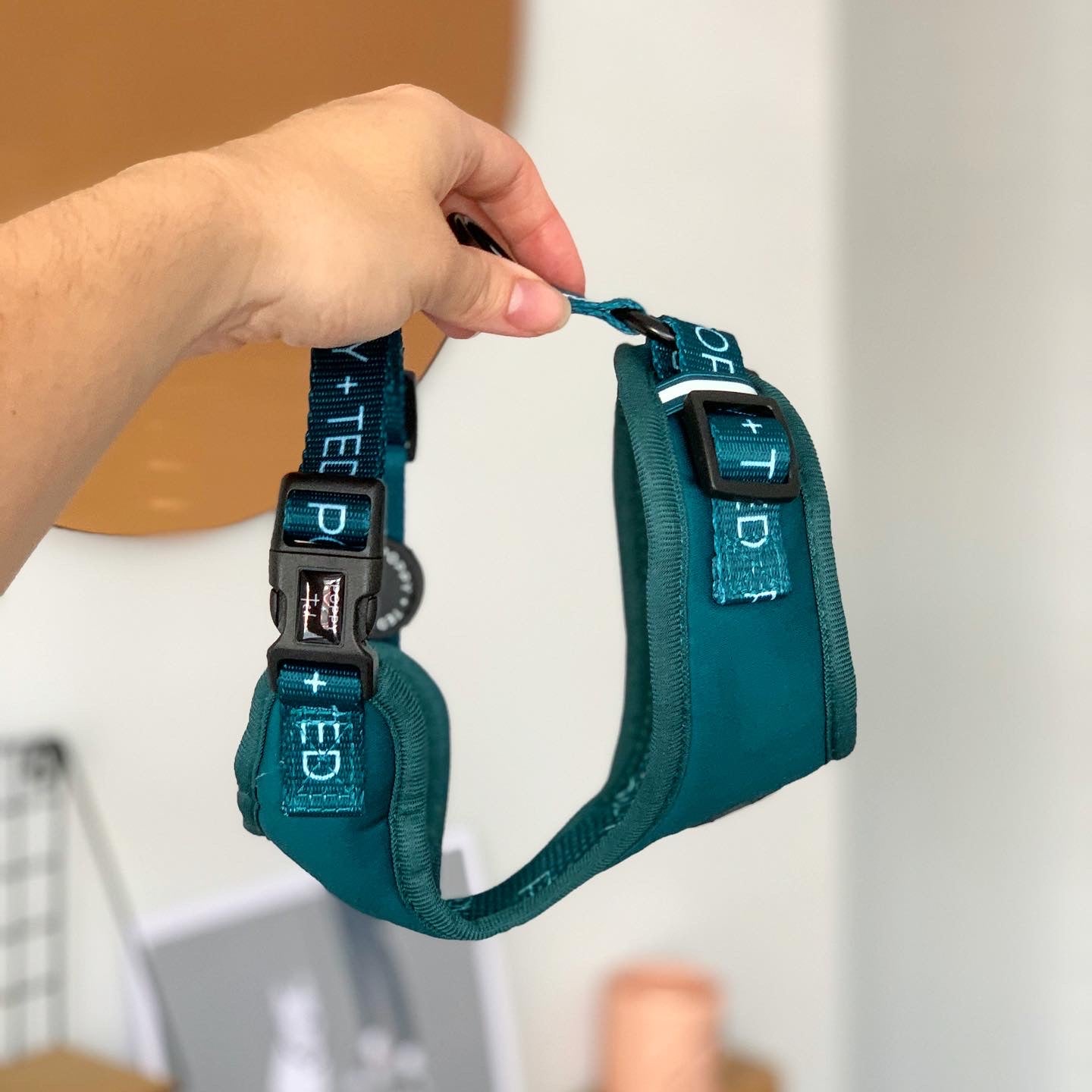 Essentials Collection | Adjustable Dog Harness | Teal