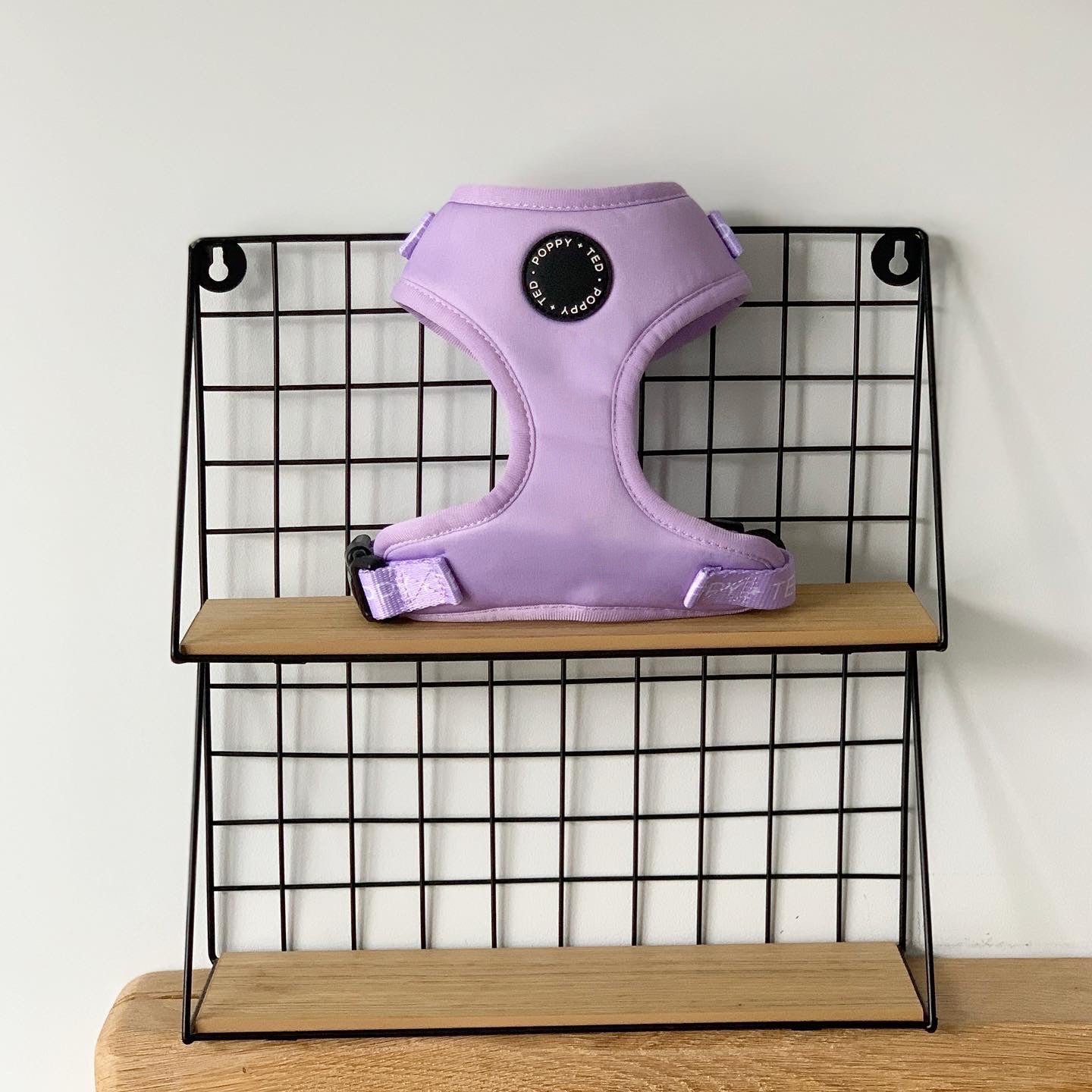 Essentials Collection | Adjustable Dog Harness | Pastel Lilac