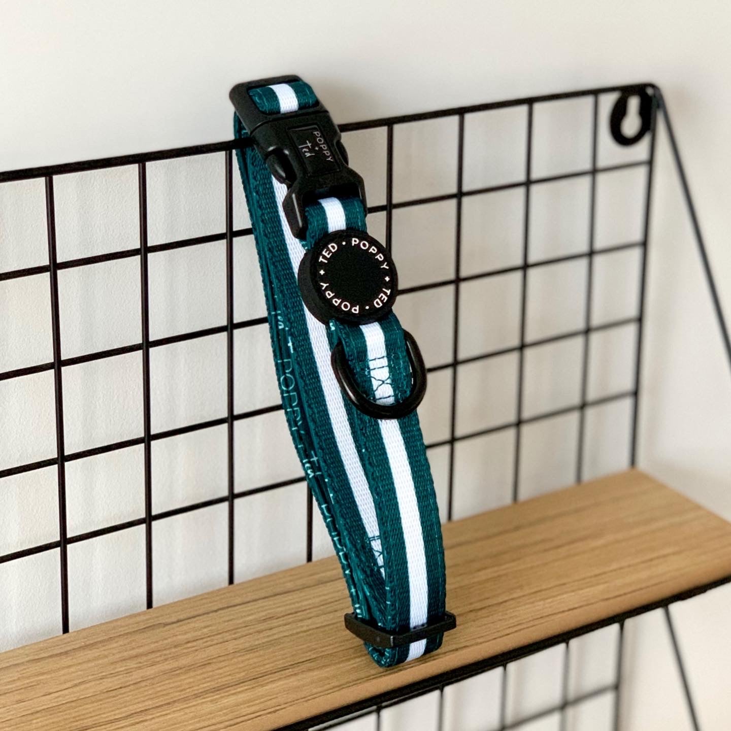 Essentials Collection | Dog Collar | Teal