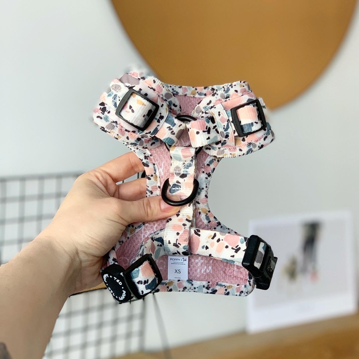 Walk + Wear | Adjustable Dog Harness | Party Pup - *10 LEFT*