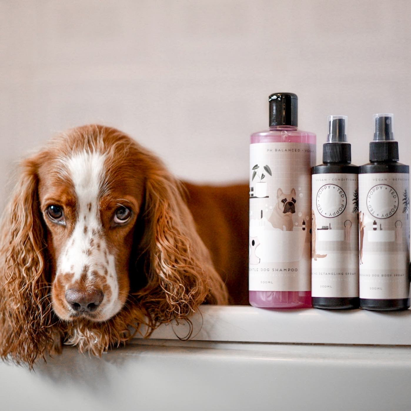 Dog Cleaning Products & Toiletries Poppy + Ted