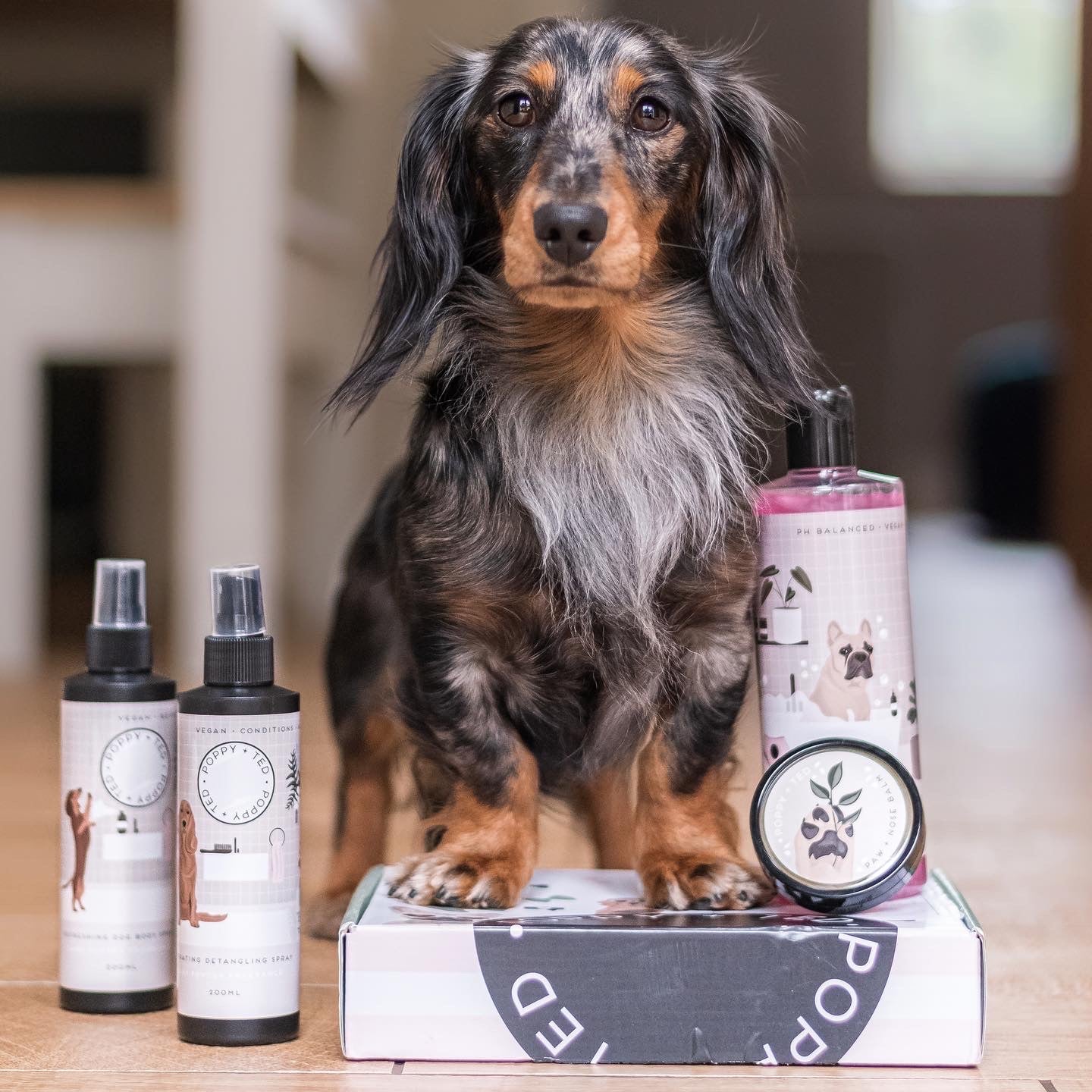 Dog Shampoo | Baby Powder Scent | Grooming Collection - SOLD OUT