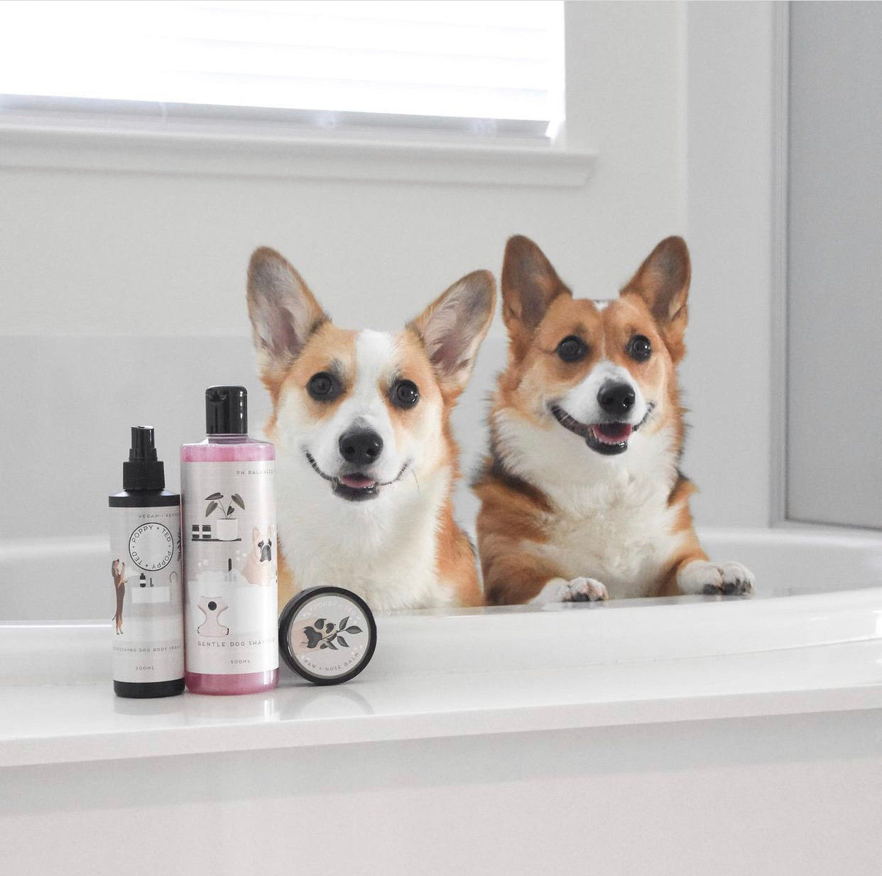 Dog Shampoo | Baby Powder Scent | Grooming Collection - SOLD OUT