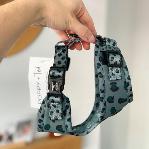 Walk + Wear | Adjustable Dog Harness | Wild Leopard - Khaki