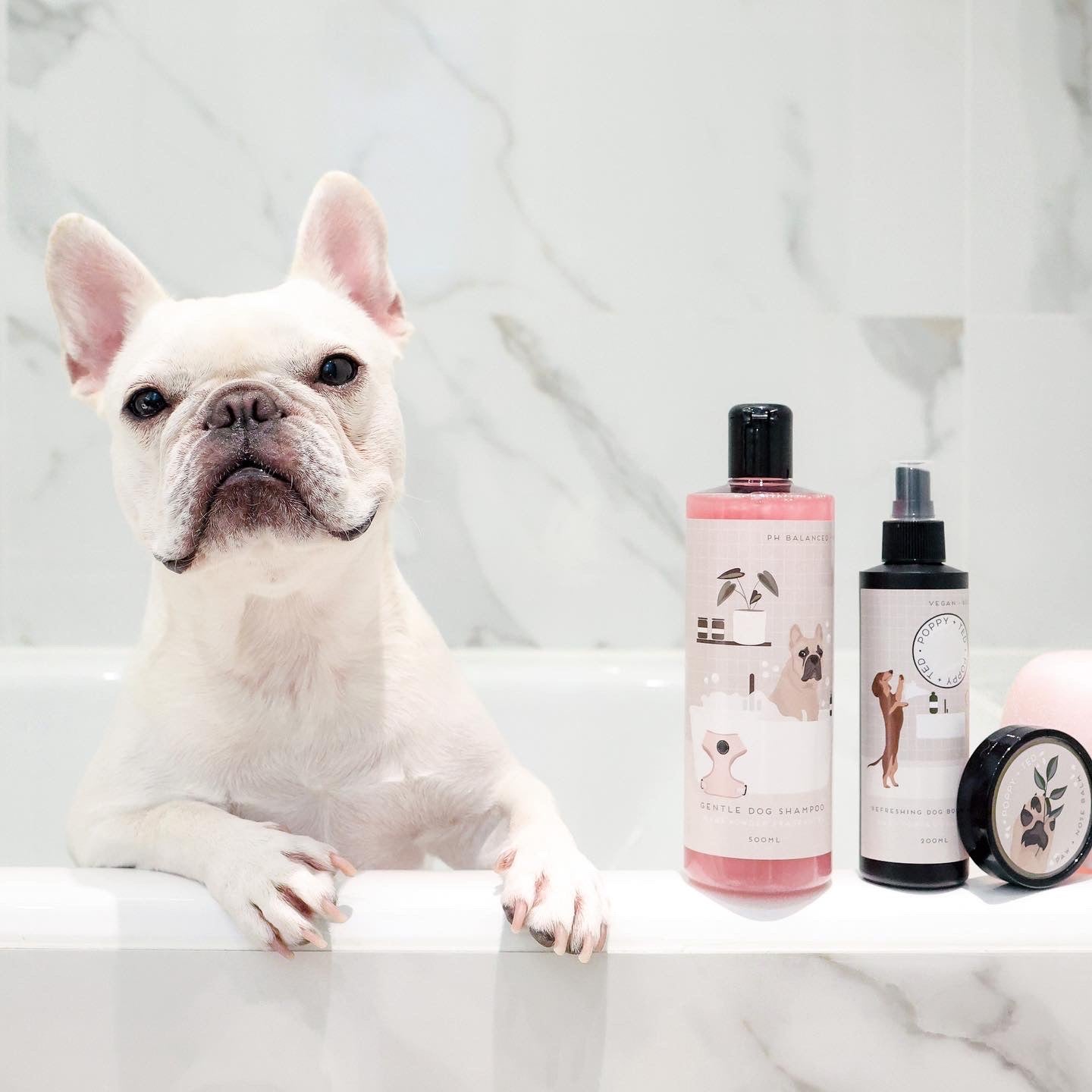 Dog Shampoo | Baby Powder Scent | Grooming Collection - SOLD OUT