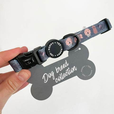 Cockapoo/Cavapoo/Doodle Collar: Breed Collection