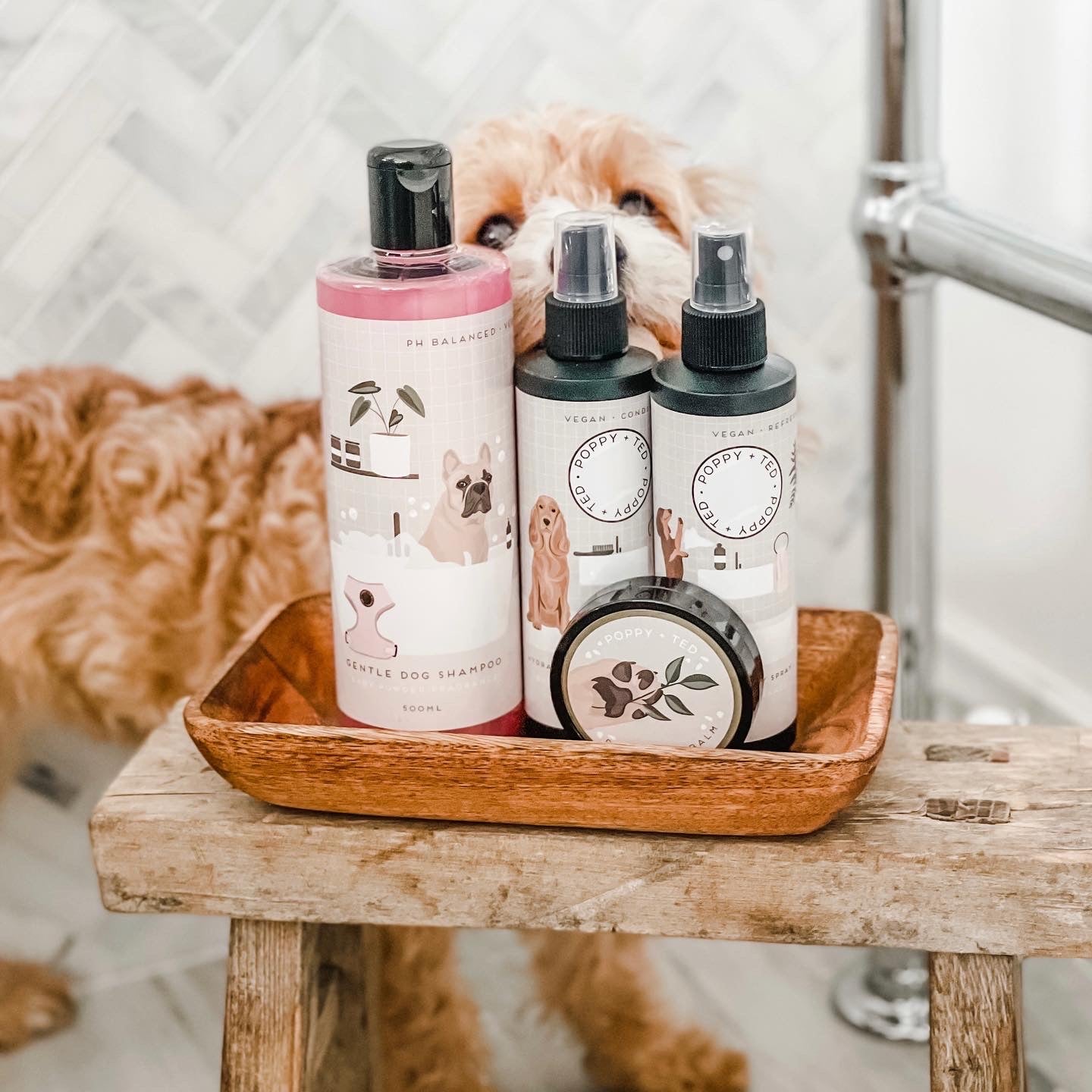 Dog Shampoo | Baby Powder Scent | Grooming Collection - SOLD OUT