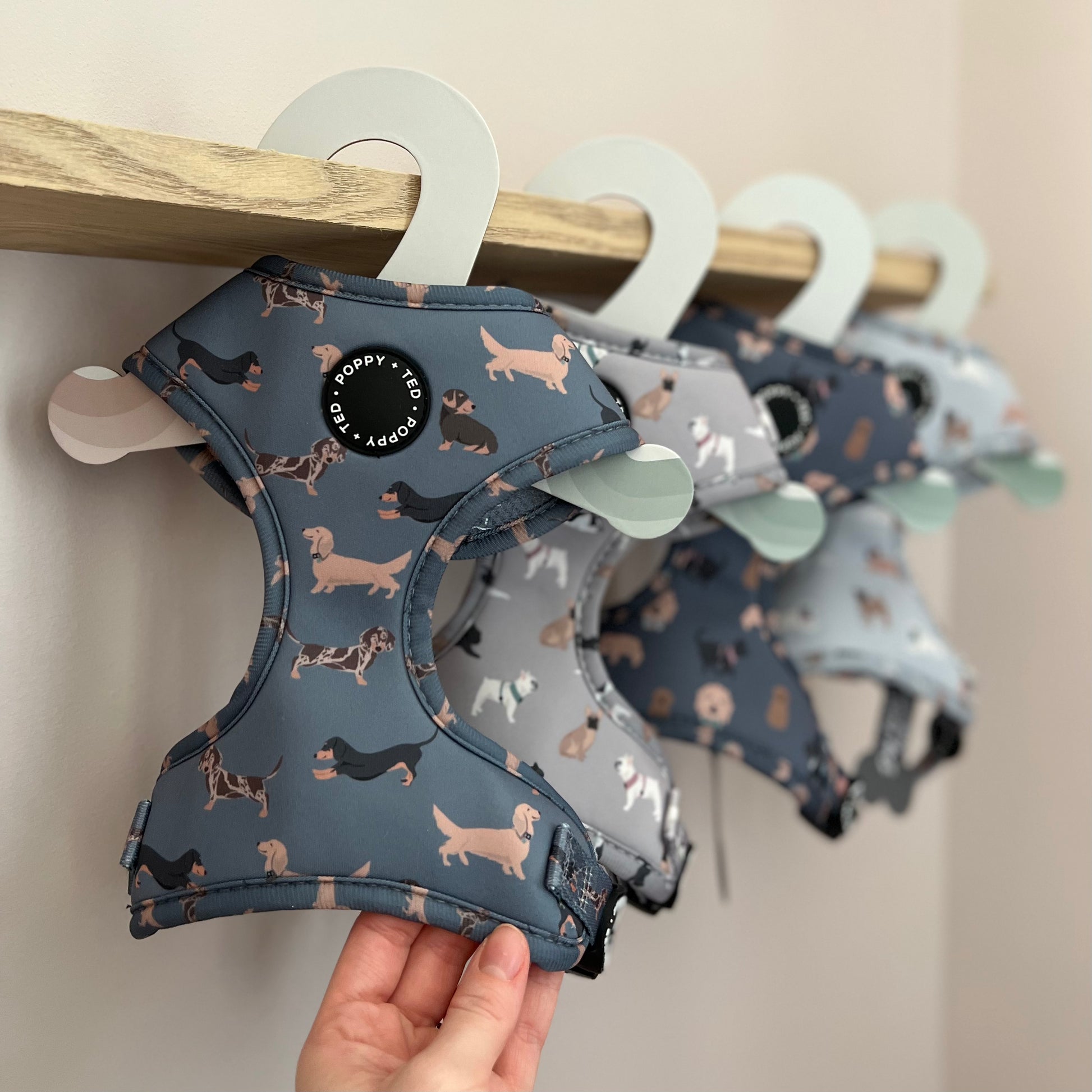 Dachshund harness pattern hot sale