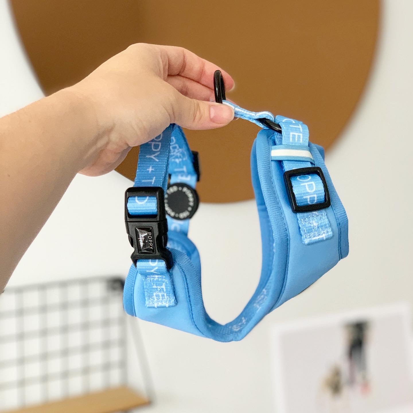 Essentials Collection | Adjustable Dog Harness | Cornflower Blue