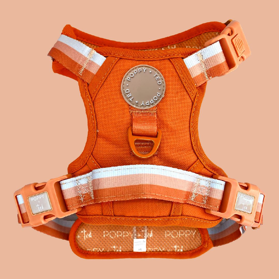 Ombré Essentials | 3-Click Tough Harness | Auburn Orange