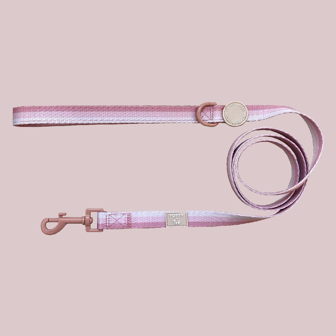 Ombré Essentials | Dog Lead | Rose Pink - SOLD OUT