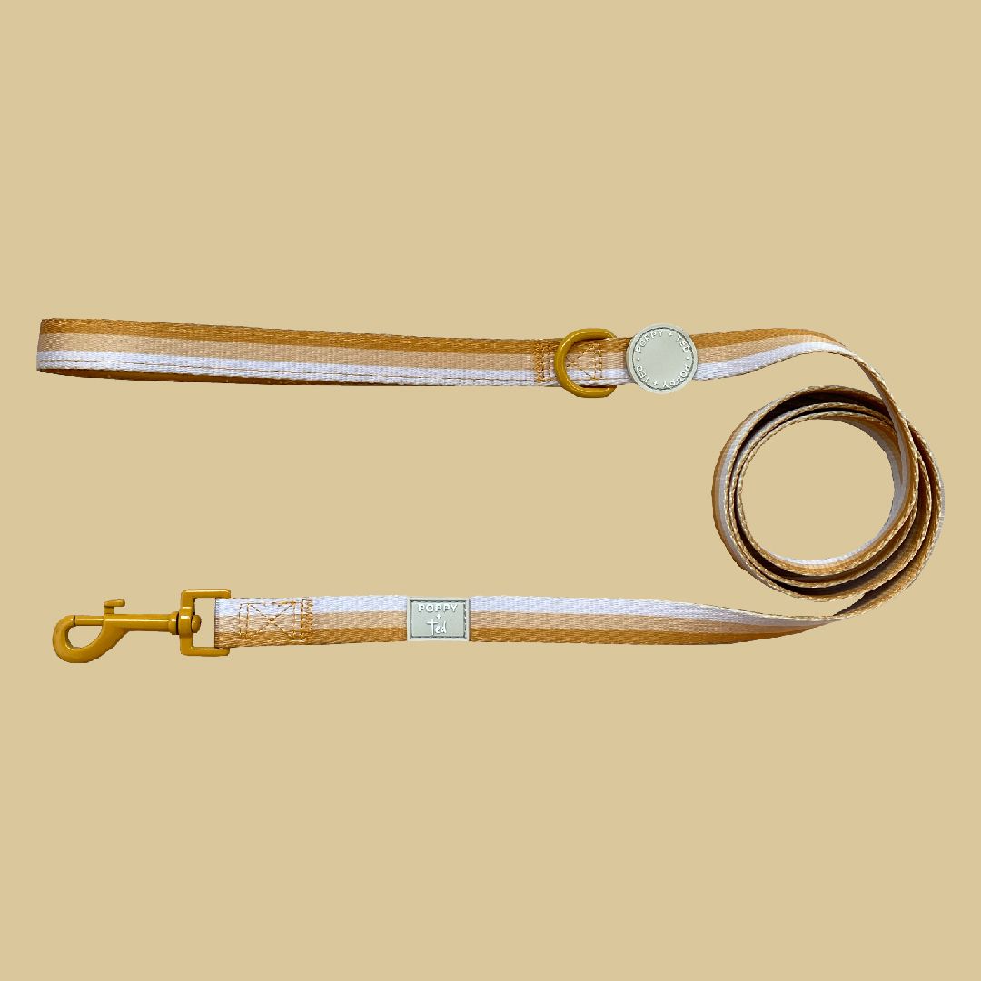 Ombré Essentials | Dog Lead | Yellow Gold - SOLD OUT