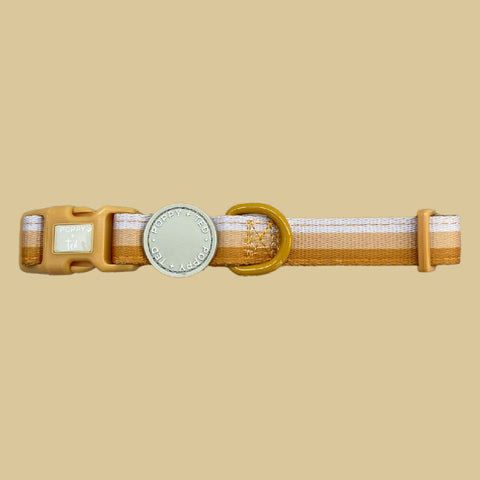 Ombré Essentials | Dog Collar | Yellow Gold