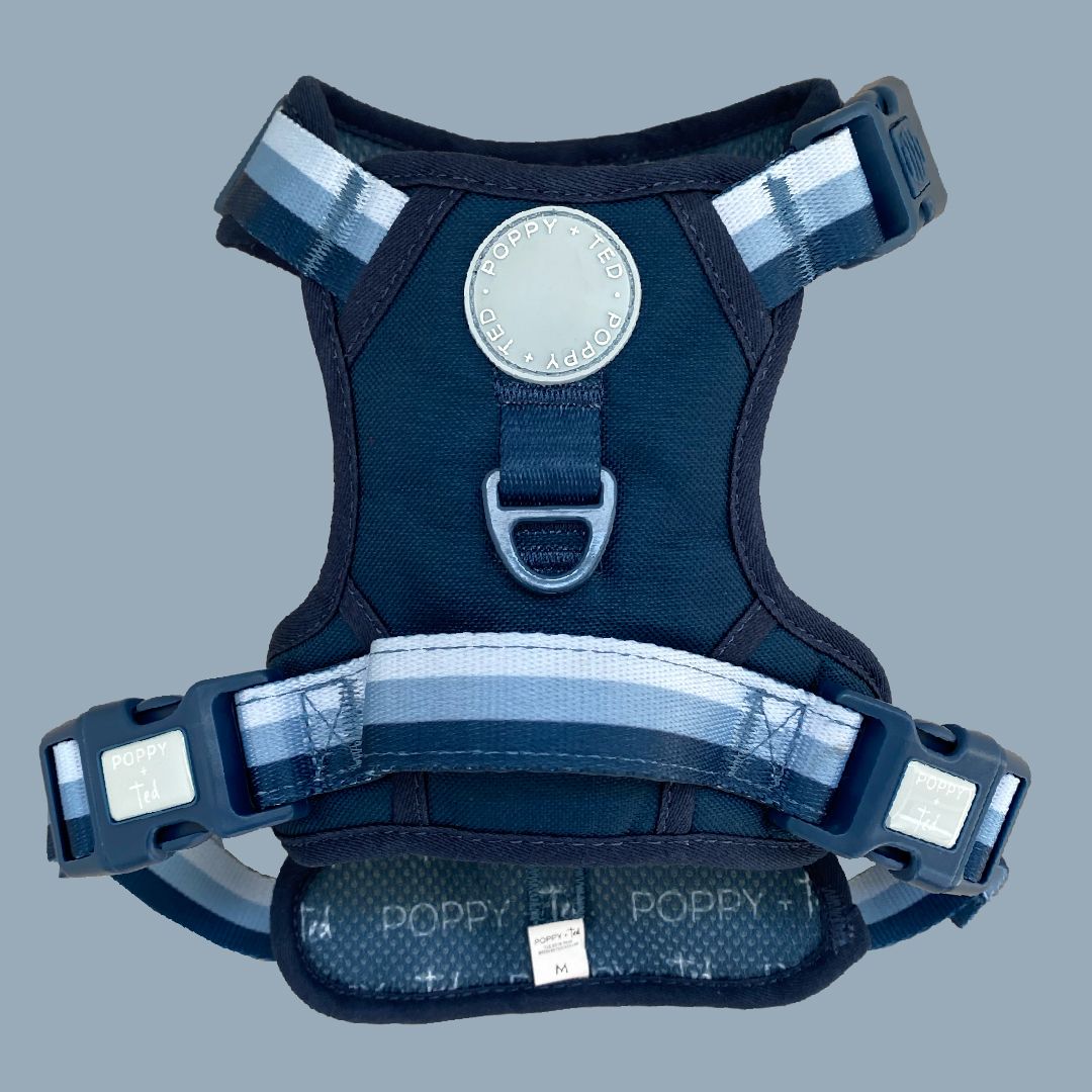 Navy blue 2024 dog harness