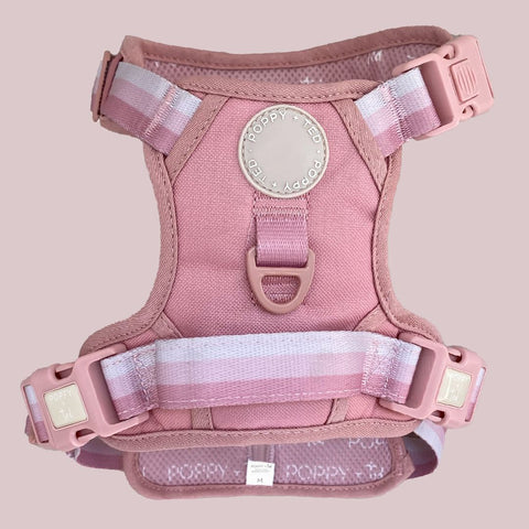 Ombré Essentials | 3-Click Tough Harness | Rose Pink