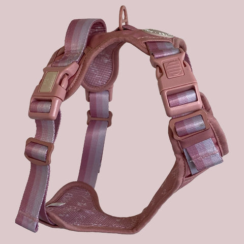 Ombré Essentials | 3-Click Tough Harness | Rose Pink