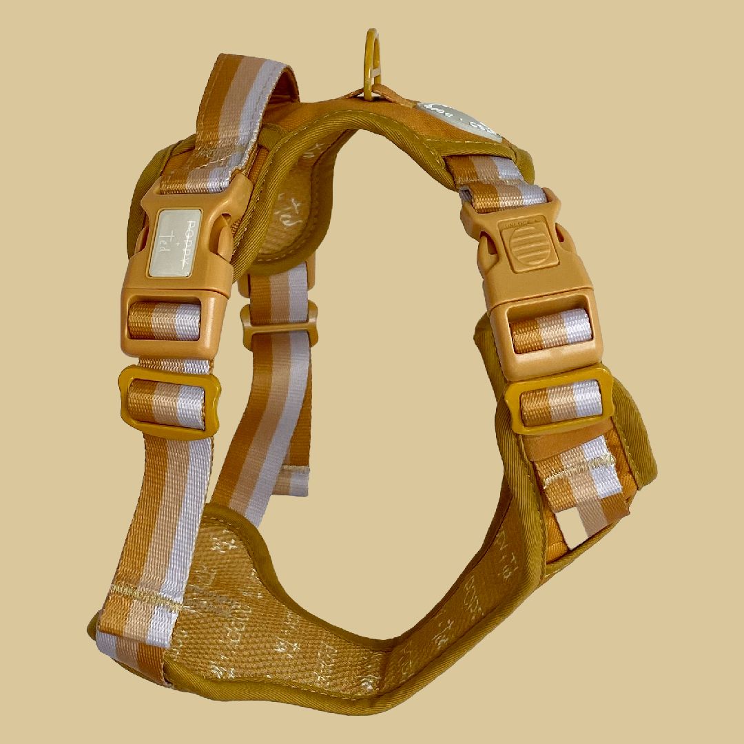 Ombré Essentials | 3-Click Tough Harness | Yellow Gold